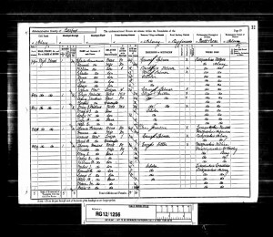 1891 census GSH
