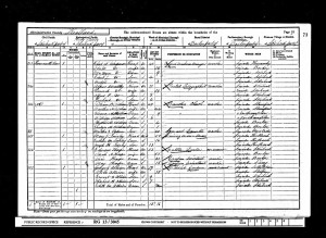 1901 census APM