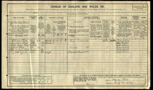 A_Street_Census_1911