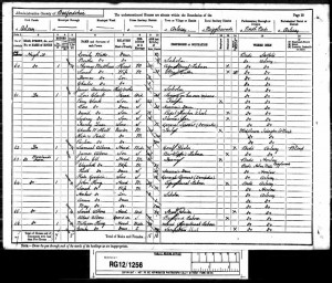 H_King_Census_1891
