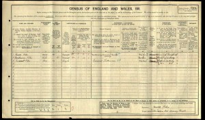 E_Pike_Census_1911