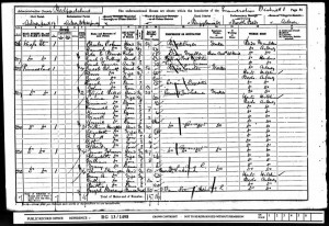 W_Johnson_Census_1901