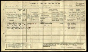 William_Potkin_Census_1911